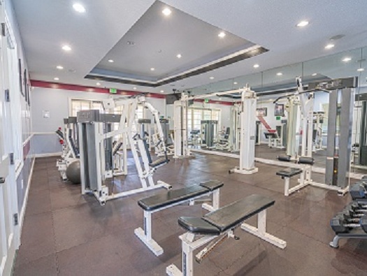 Gym Gym